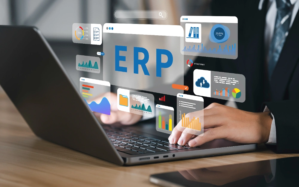 Business ERP Solutions